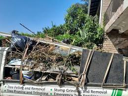 Best Residential Junk Removal  in Fishers, IN